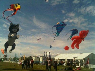 Celebrate your abilities... fly like the wind